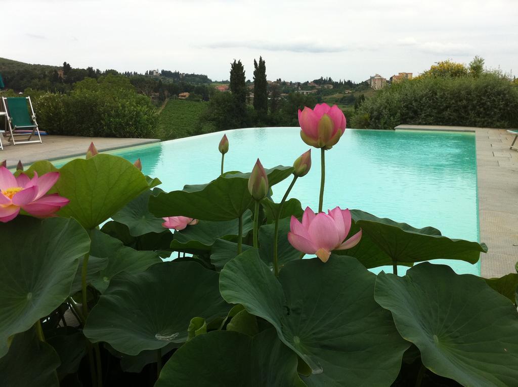 Agriturismo Raccianello San Gimignano Eksteriør billede